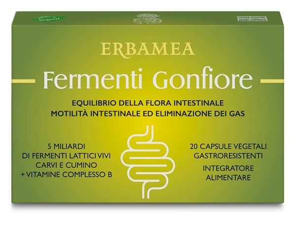 FERMENTI GONFIORE 20CPS GASTRO